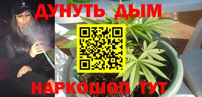 гашик Берёзовский