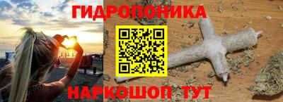 гашик Берёзовский