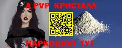 гашик Берёзовский